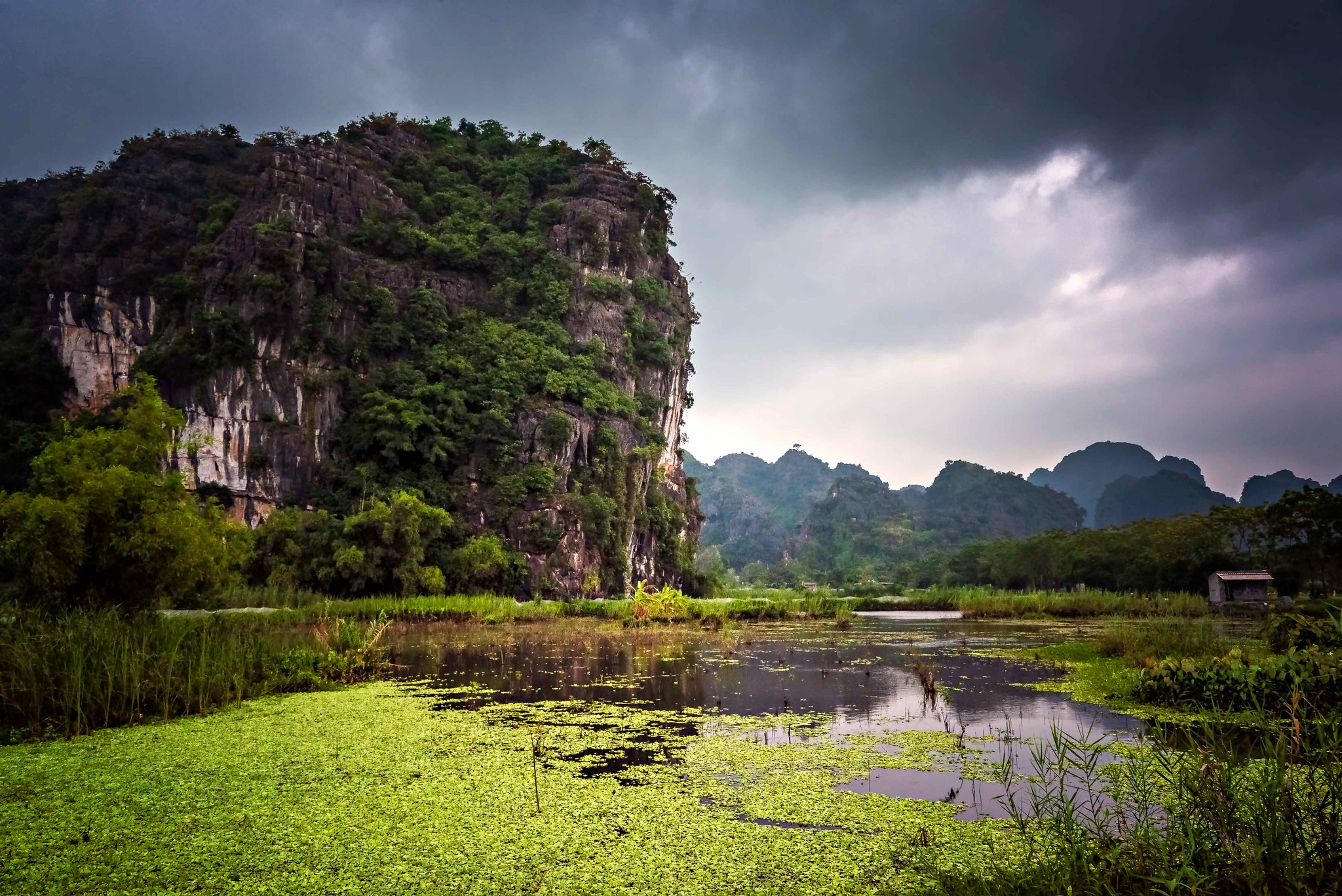 45530510914 85c77edec8 k