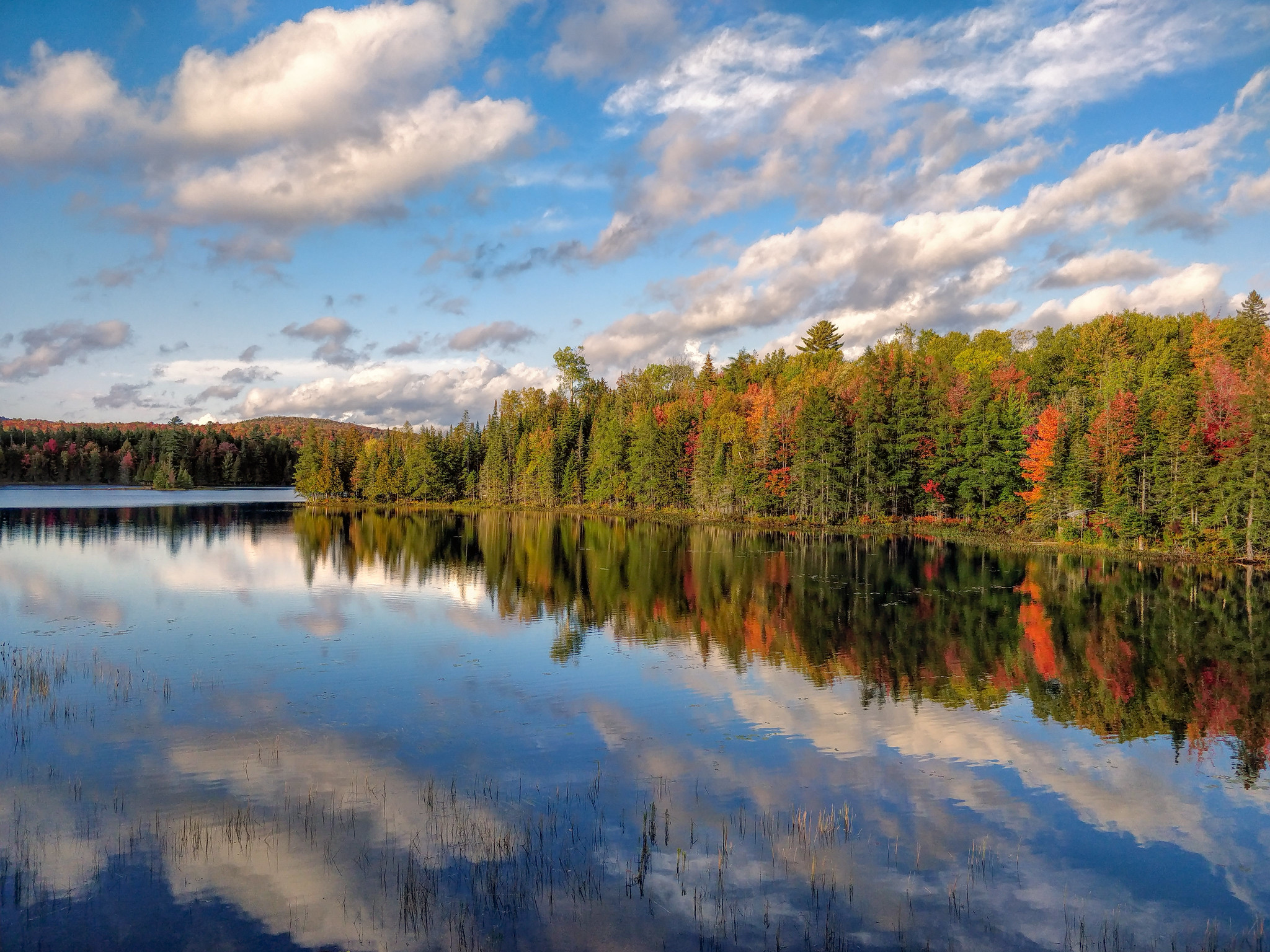 Top 18 Breathtaking Parks on the East Coast for Every Nature Lover 12 49146177453 aea72f3567 k