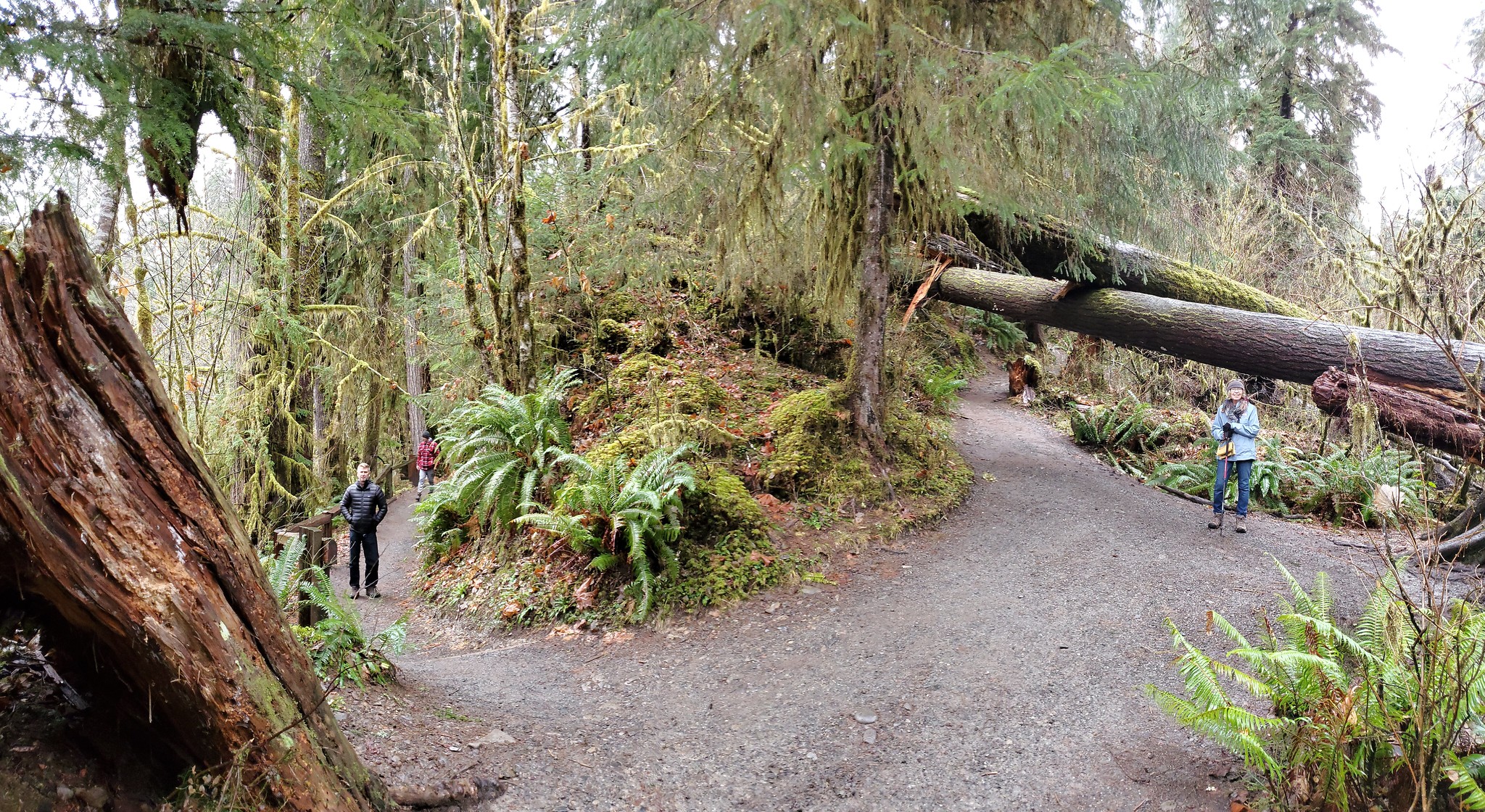 20 Epic U.S. Hiking Trails That Take You Way Off the Beaten Path 19 49289776772 7eb5d2c961 k