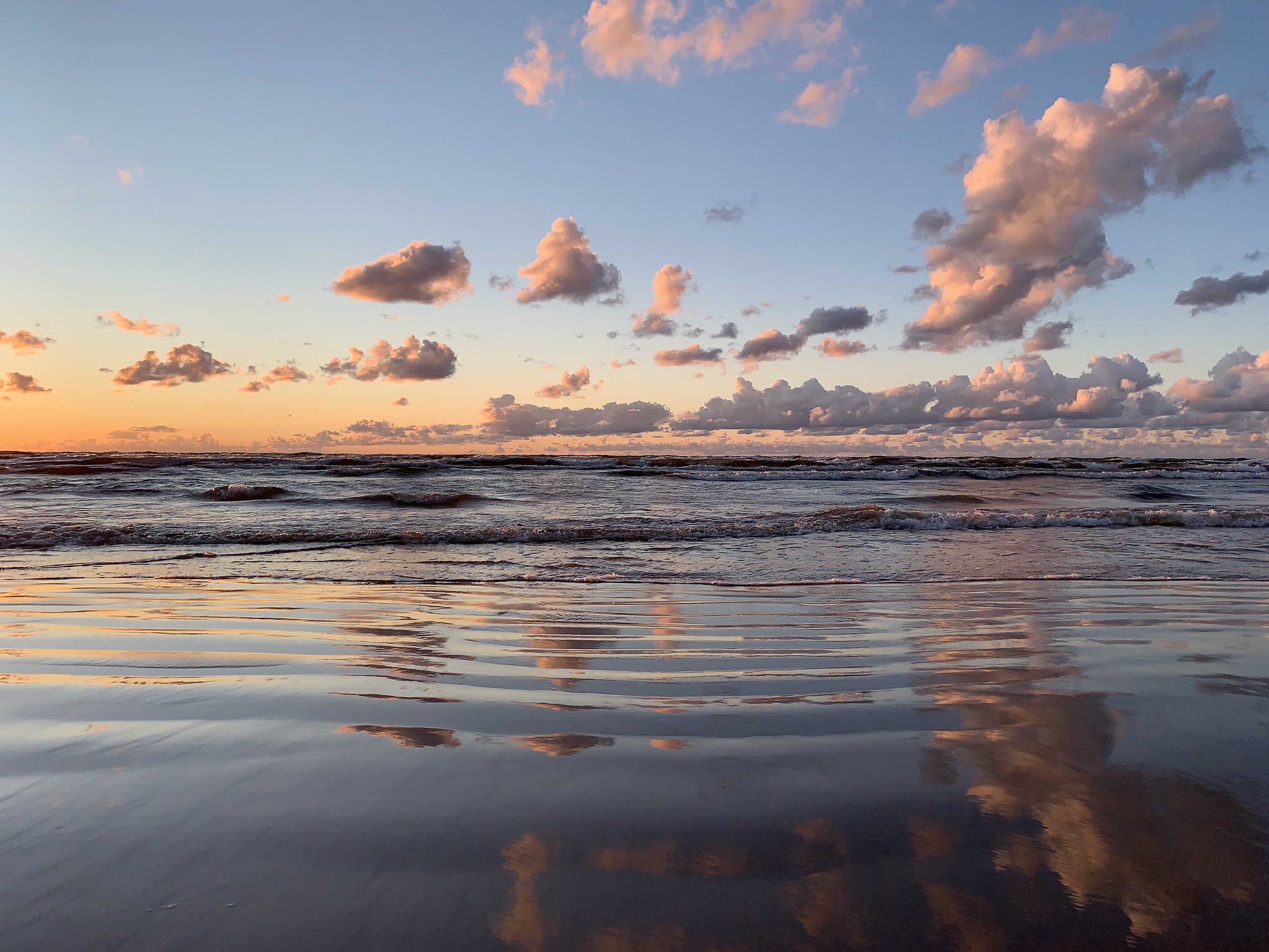 51008394157 816f4fcd89 k 1