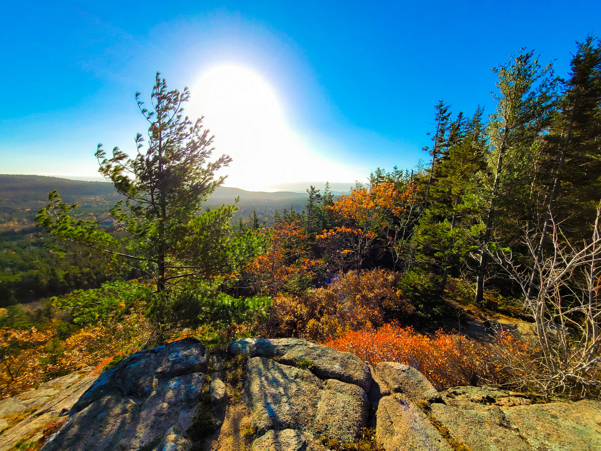 Top 18 Breathtaking Parks on the East Coast for Every Nature Lover 1 51657481759 3fbb45af2d k