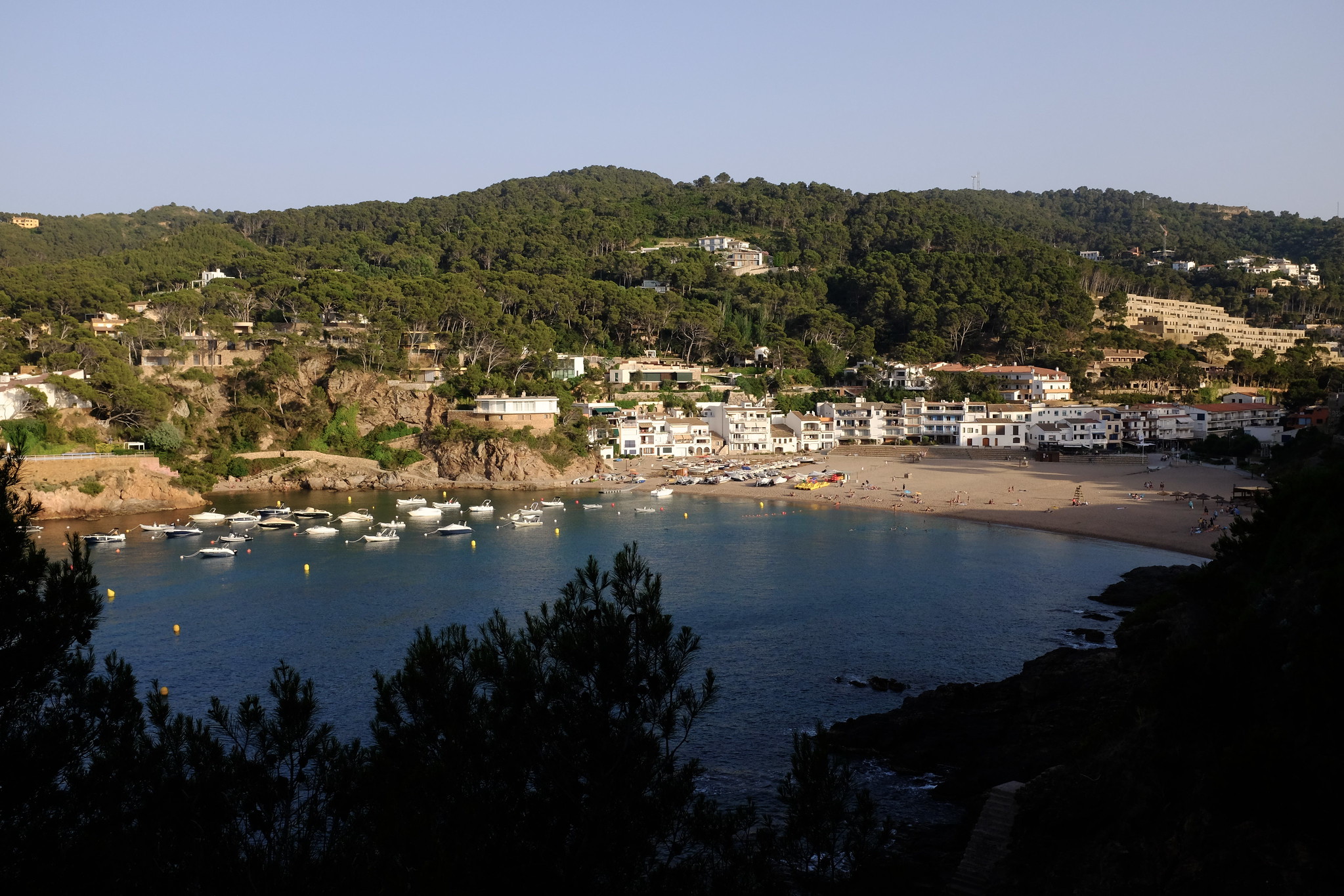 52170317310 12d47da6f4 k