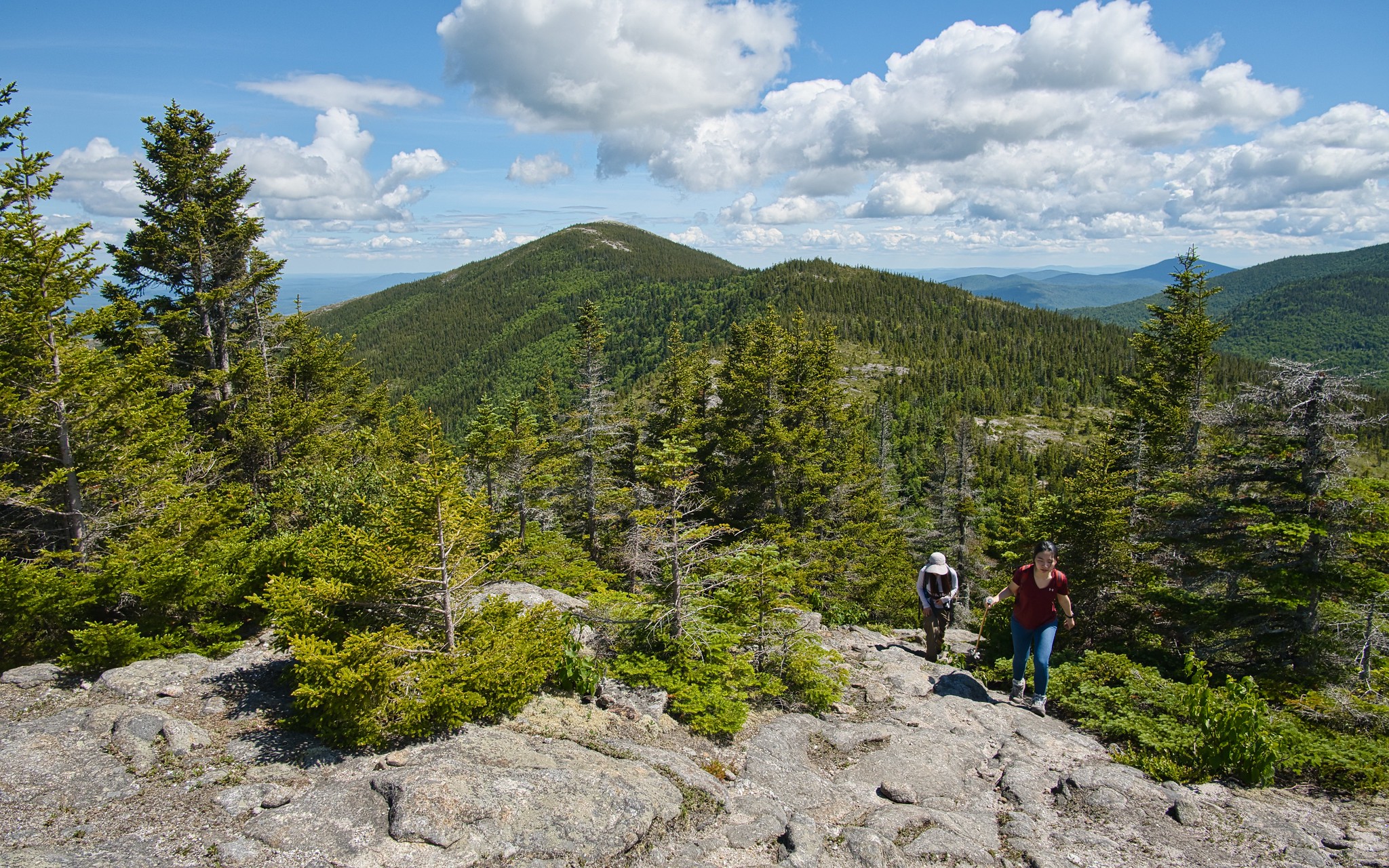 Top 18 Breathtaking Parks on the East Coast for Every Nature Lover 9 52216975528 75879b9ed1 k