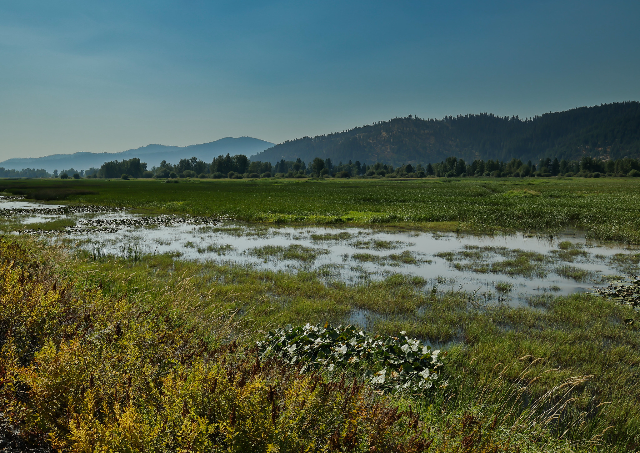 16 Scenic Small Towns in Idaho for Outdoor Enthusiasts 9 52413329060 388407f88f k