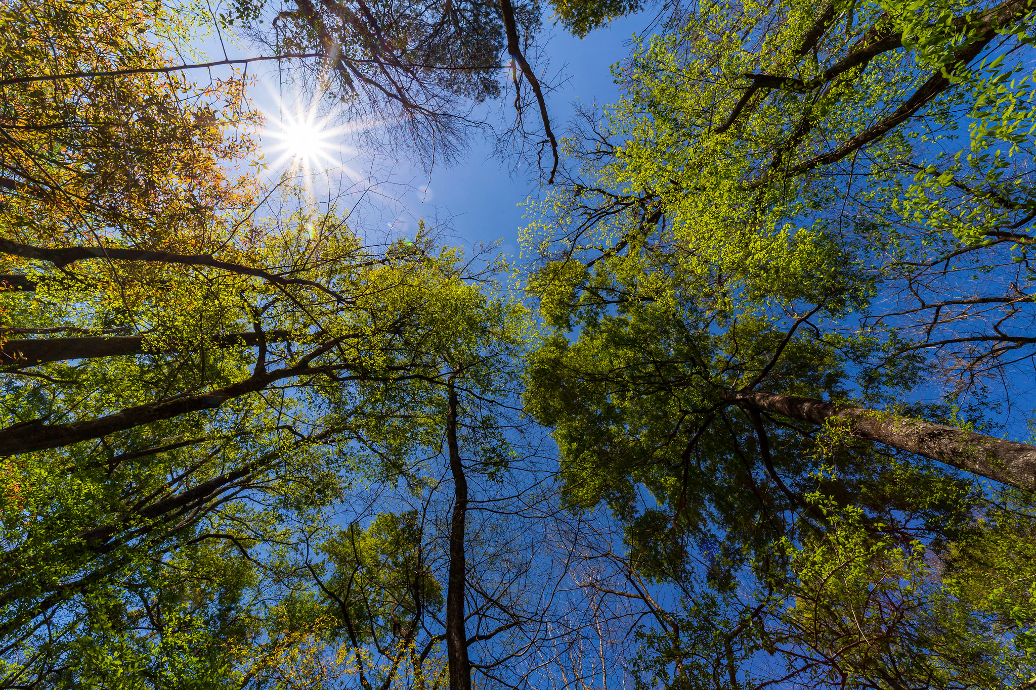 Top 18 Breathtaking Parks on the East Coast for Every Nature Lover 10 52911087217 473112ae24 k