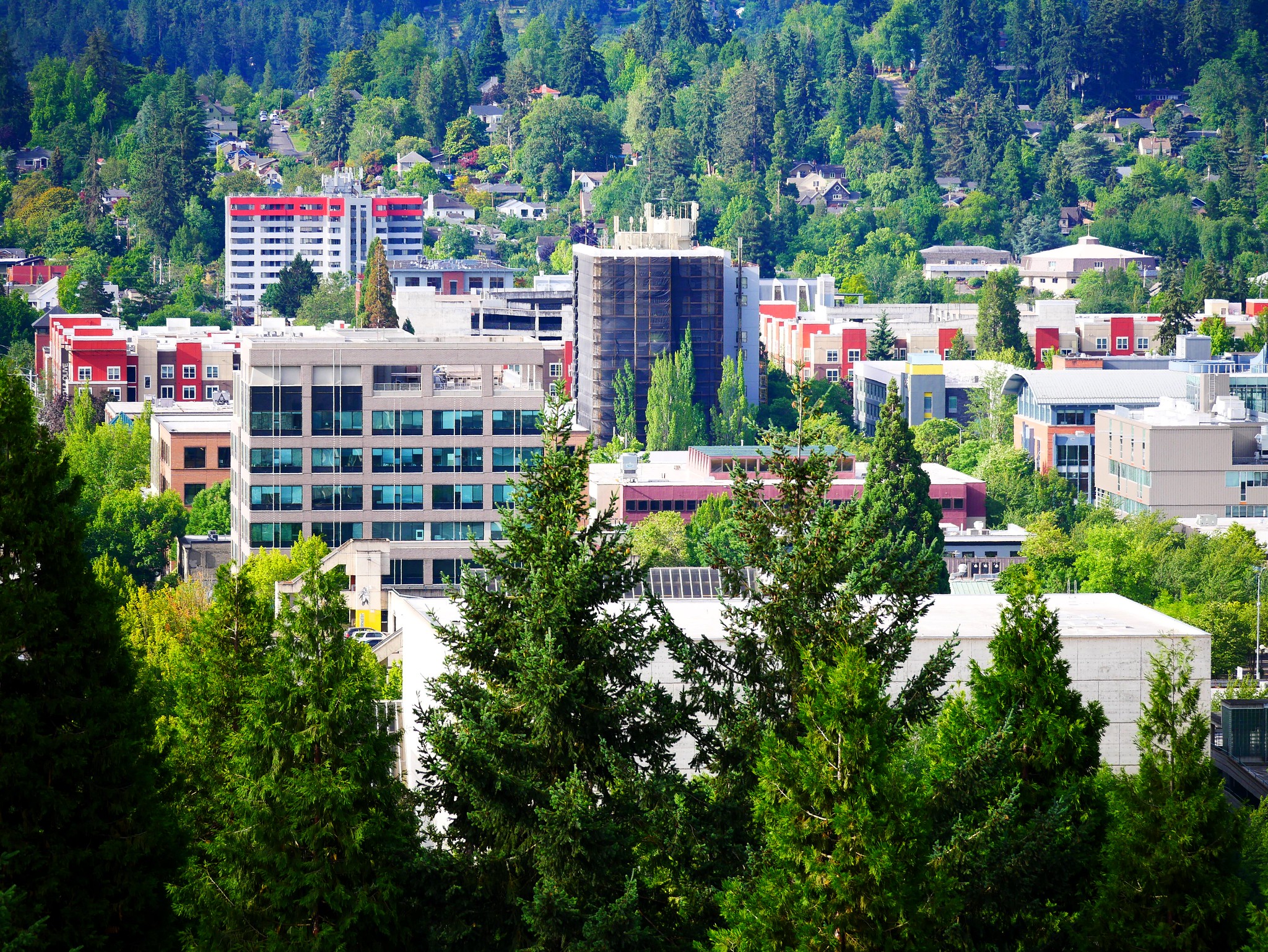 16 Laid-Back American Towns Where the Hippie Spirit Lives On 3 53820082883 7e3c31d8c2 k 1