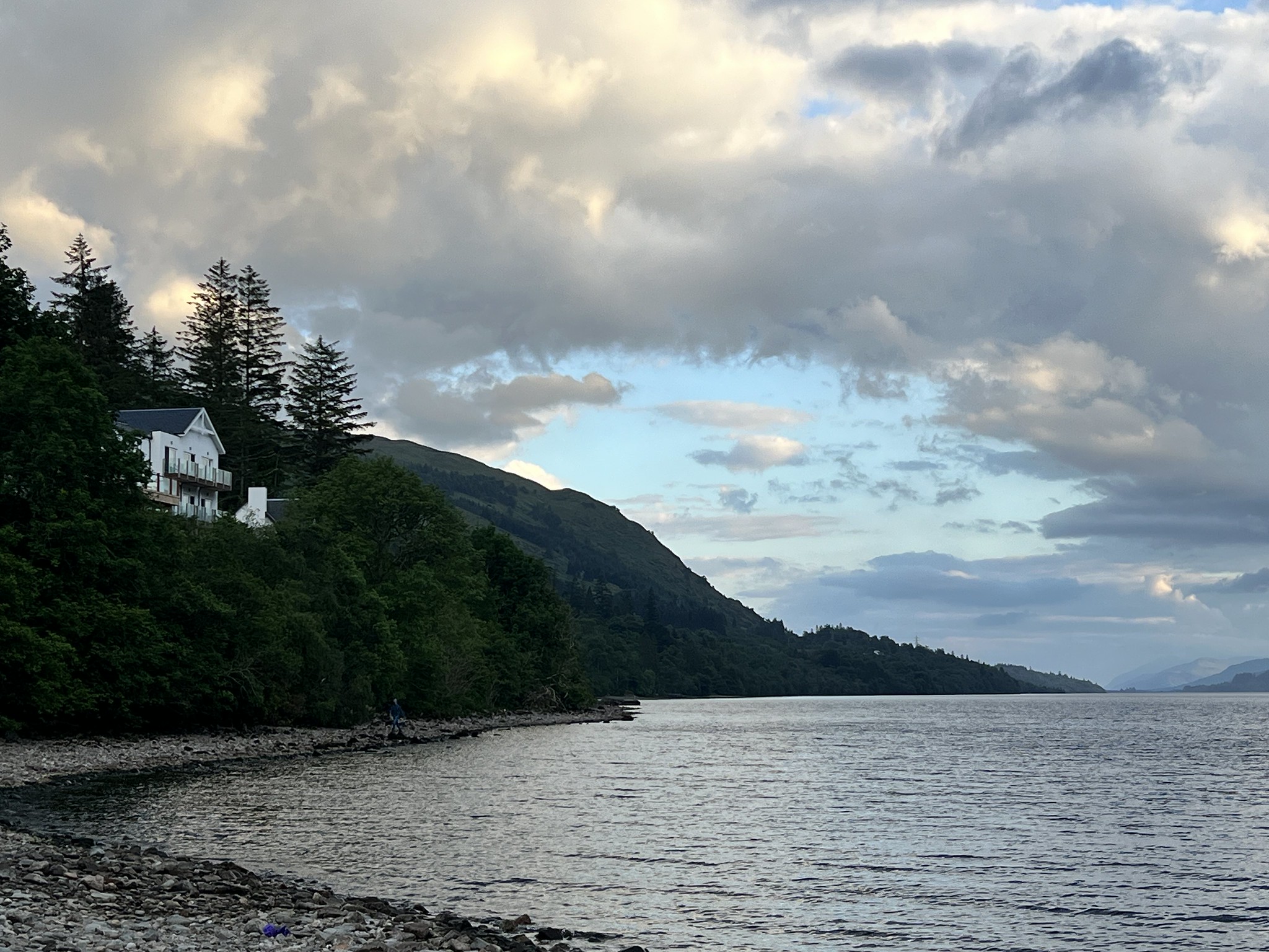 53989187192 f0596ee8c1 k