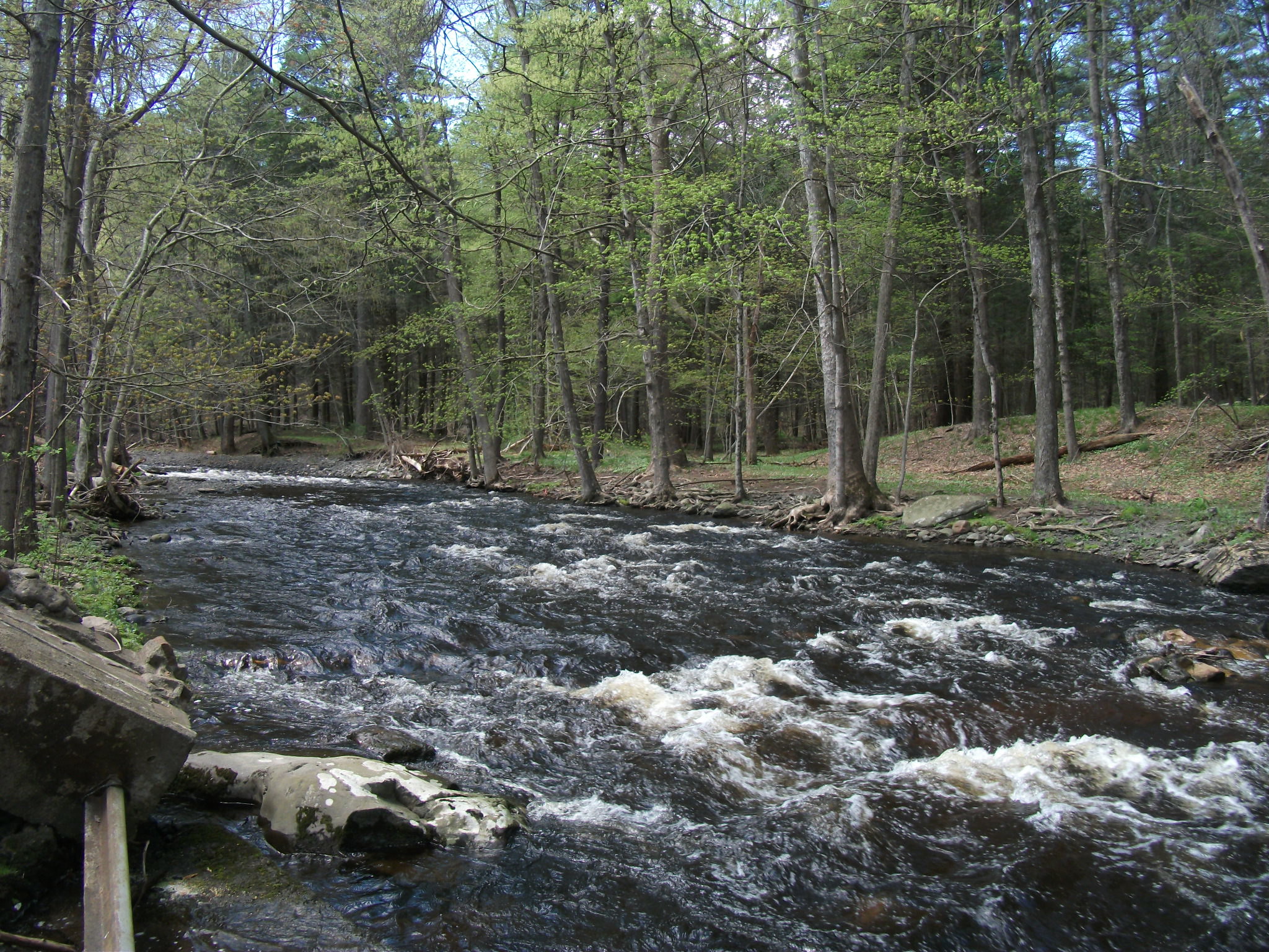Top 18 Breathtaking Parks on the East Coast for Every Nature Lover 16 5678333344 eea0899998 k