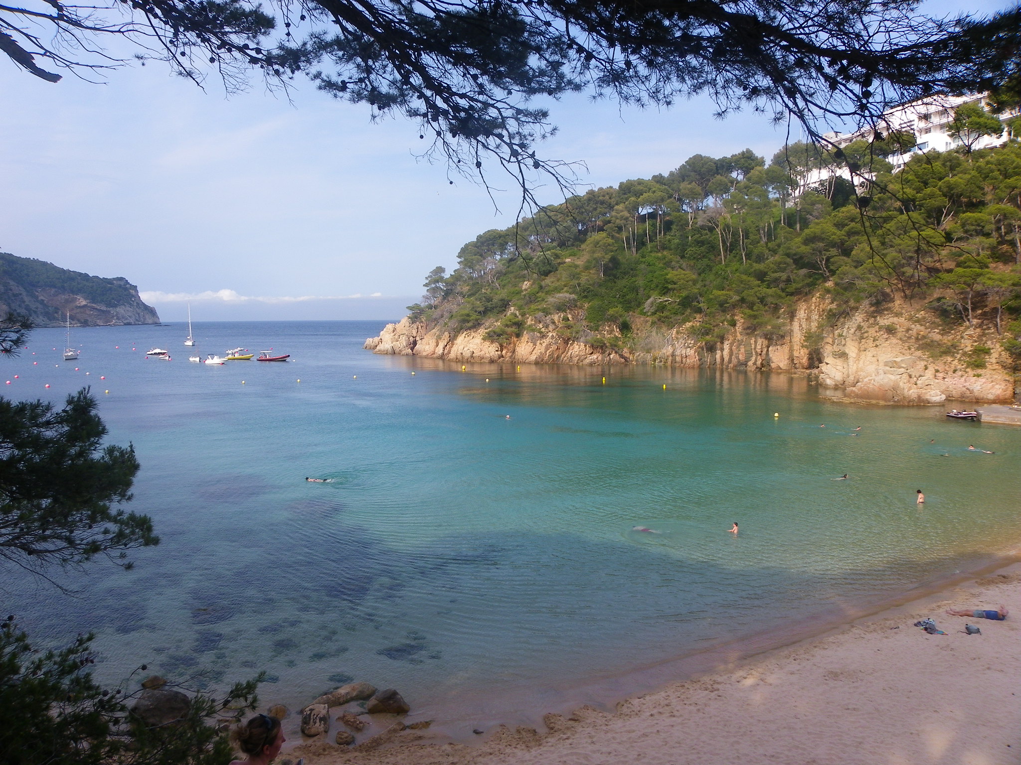 5932979044 0c1956586f k