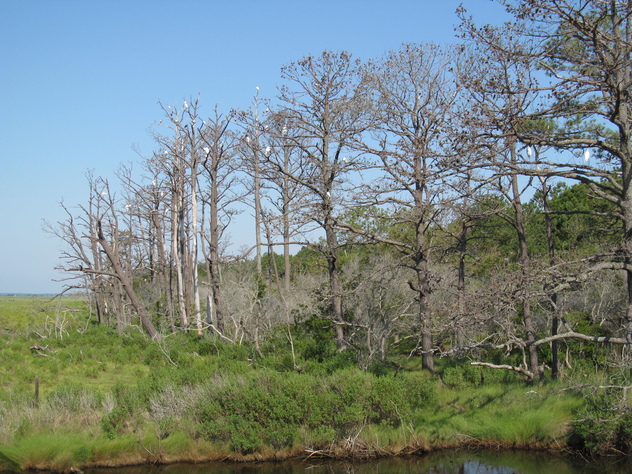 Top 18 Breathtaking Parks on the East Coast for Every Nature Lover 4 8124470011 e3719390c7 k