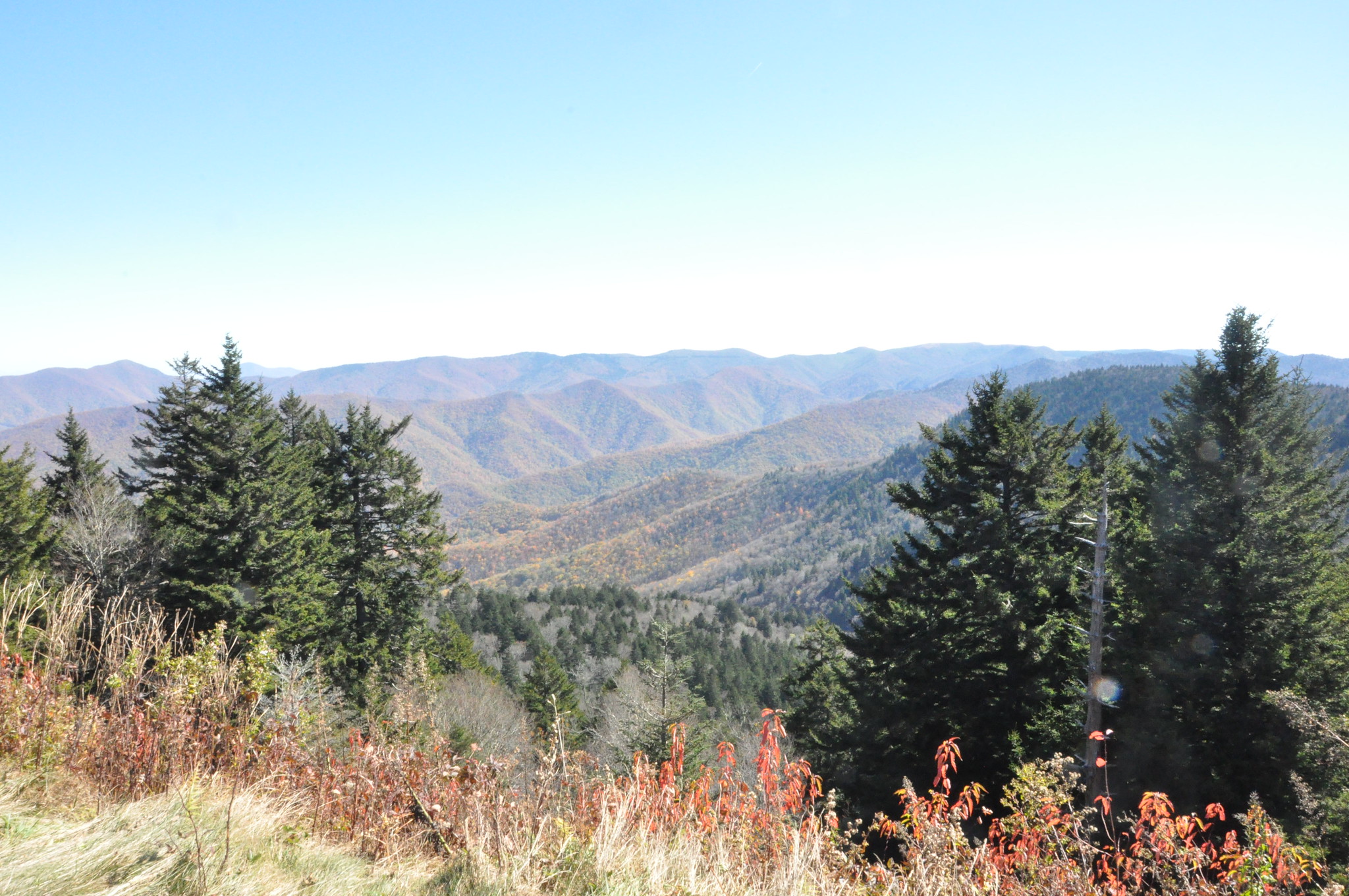 Top 18 Breathtaking Parks on the East Coast for Every Nature Lover 7 8143223655 5bbeb0f140 k