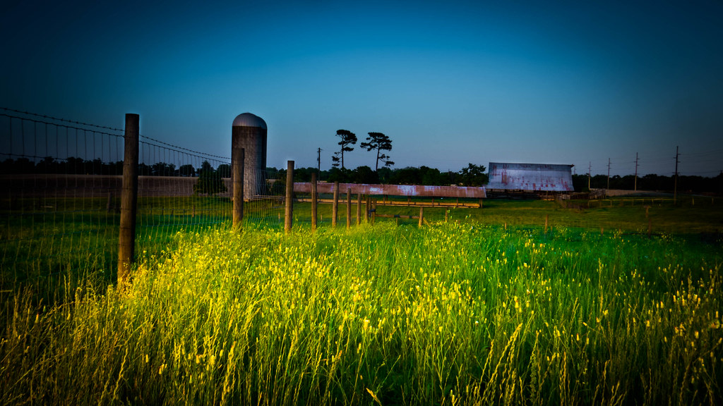 16 Laid-Back American Towns Where the Hippie Spirit Lives On 12 9260698099 ba87e9959f b 1