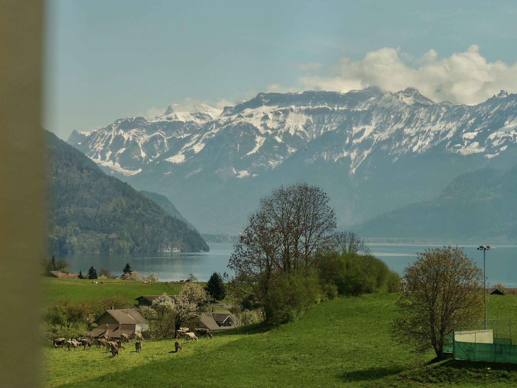 Ank Kumar View from the Luzern–Interlaken Express SBBCFFFFS