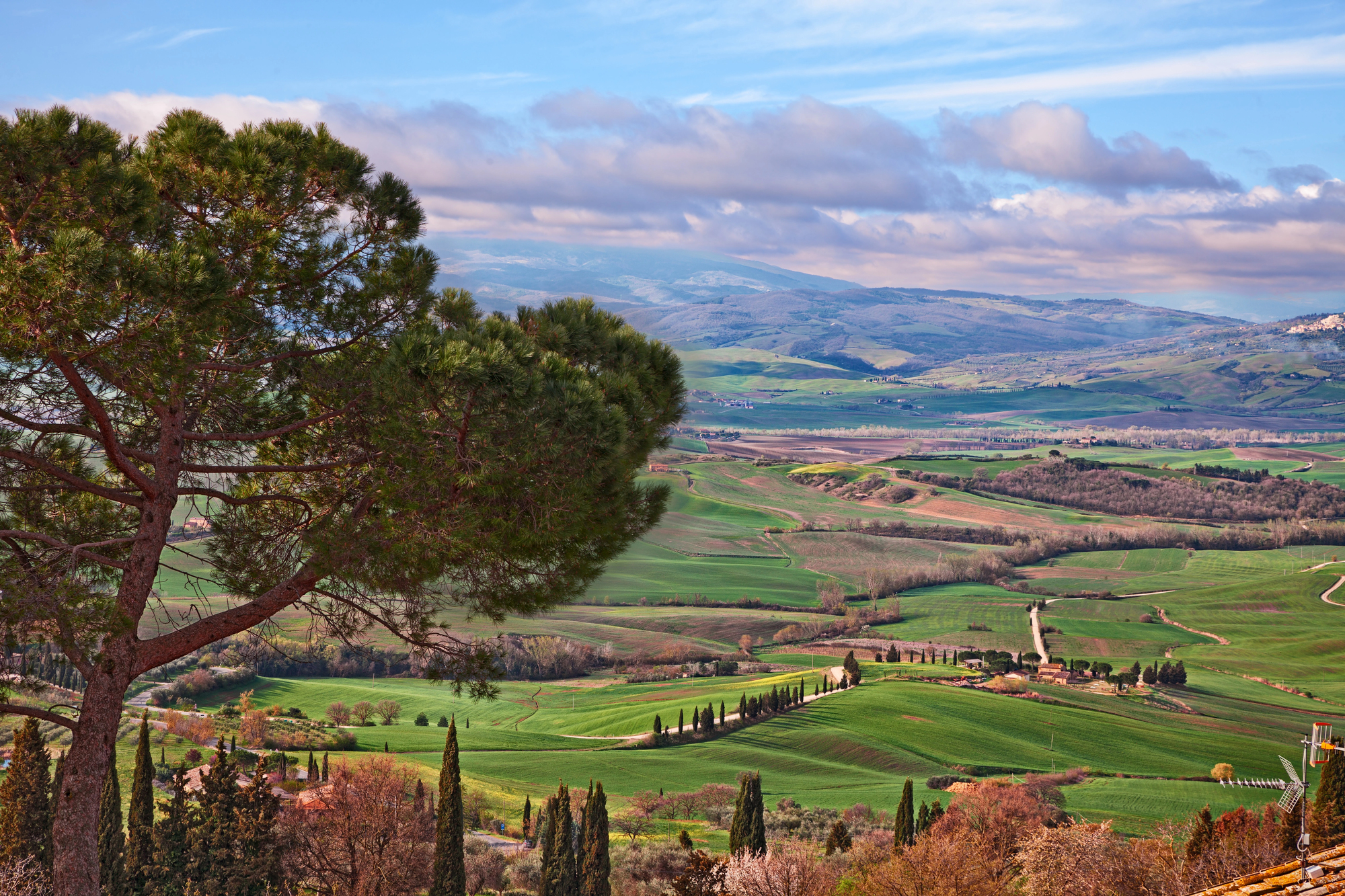 Depositphotos 293666256 L