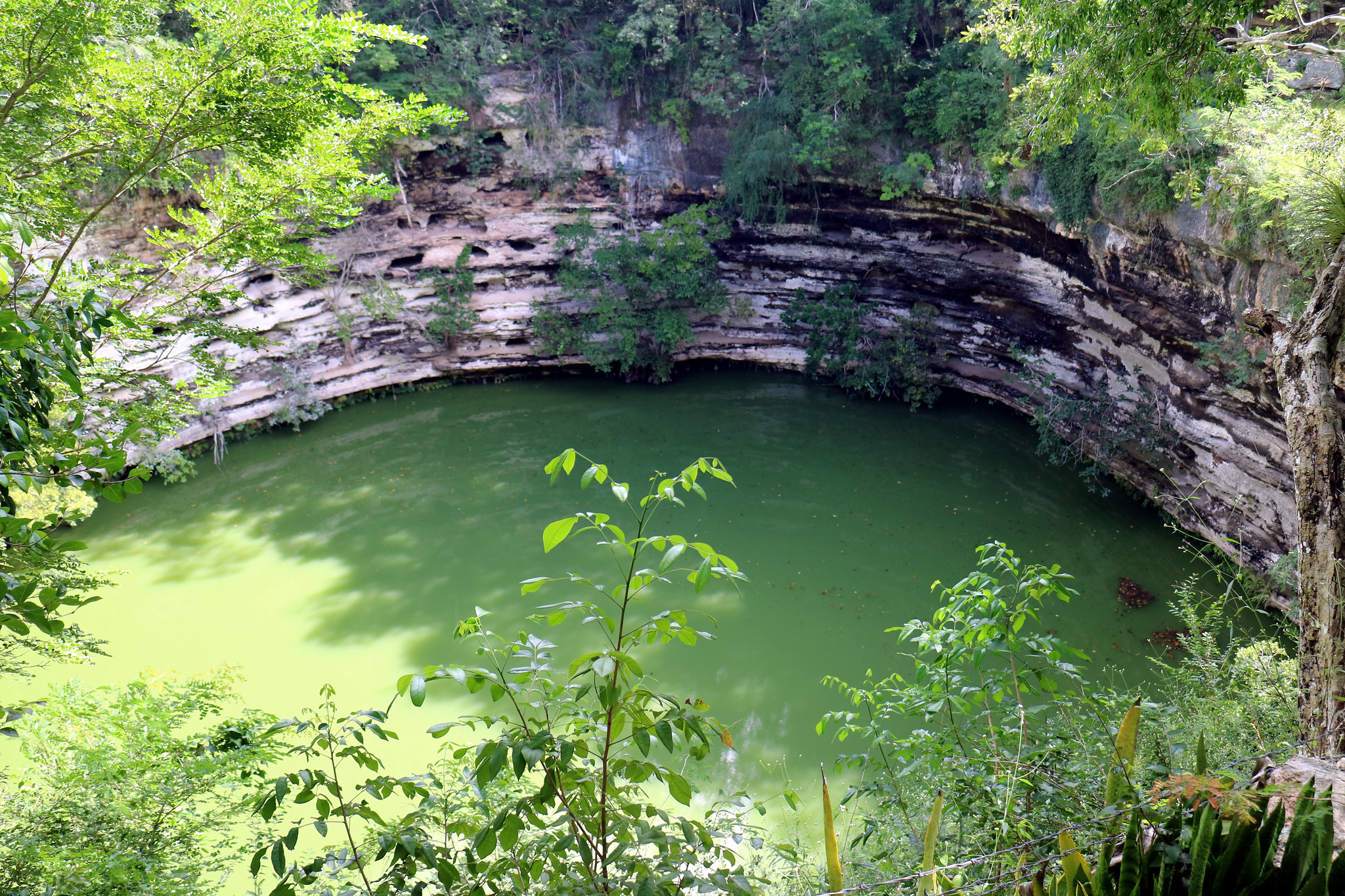 15 Chichen Itza Facts That Will Change How You See This Ancient Wonder 6 Erik Cleves Kristensen Cenote sagrado