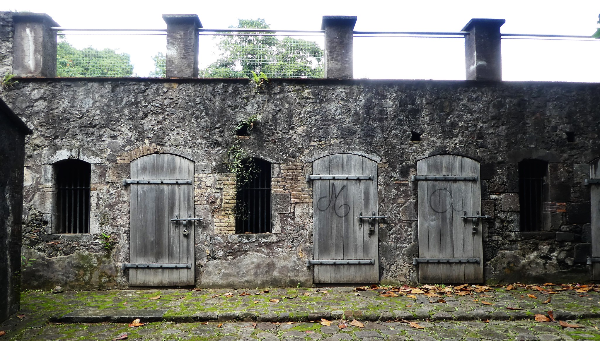 Larry Syverson Martinique St. Pierre Colonial Hospital de Sante