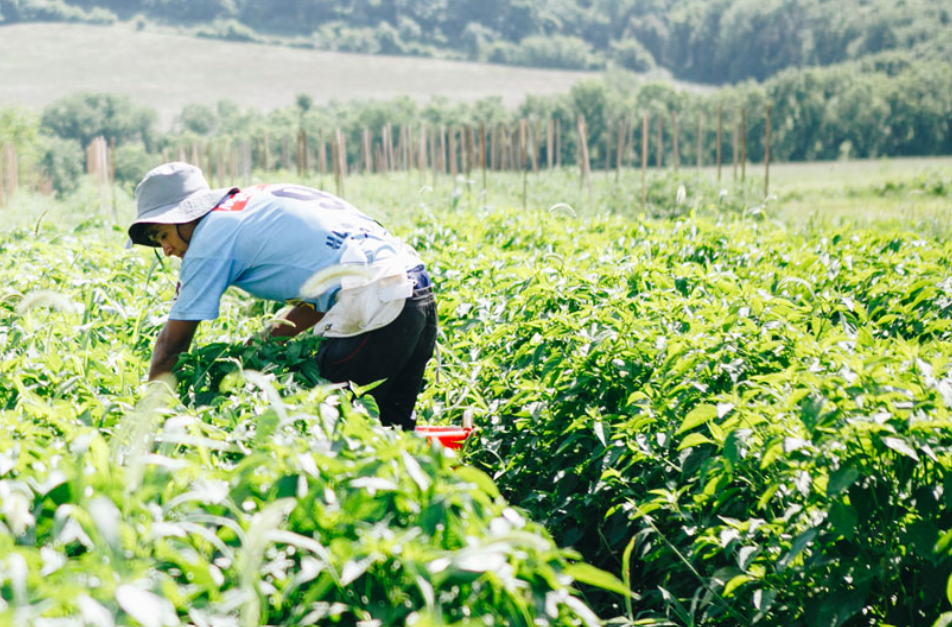 Screenshot 2024 12 11 061627