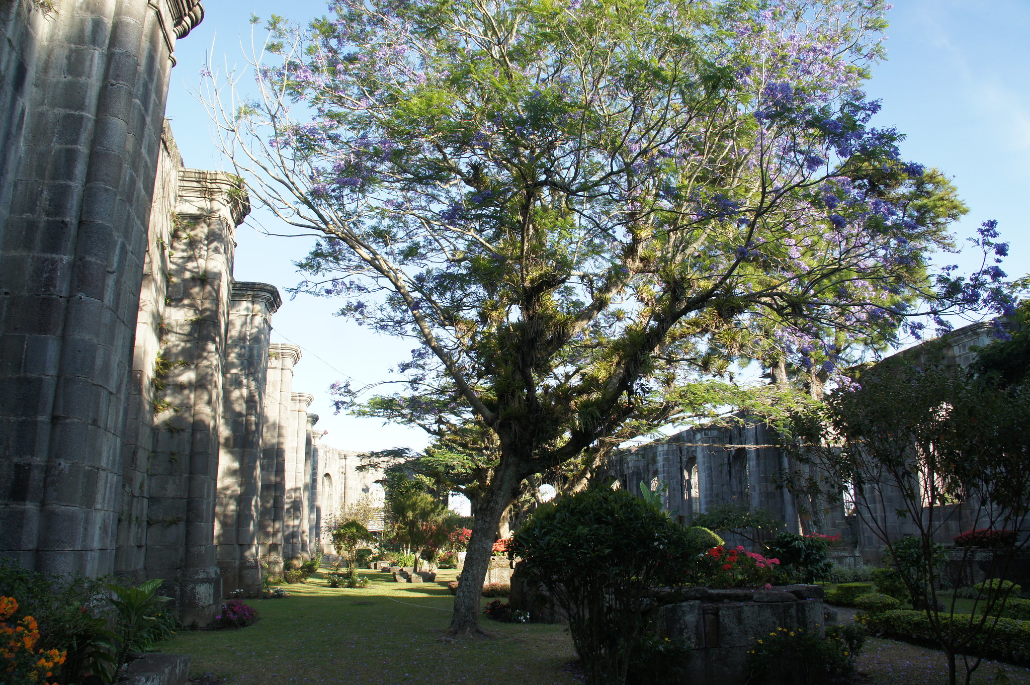 hectorlo Cartago Costa Rica January 2016