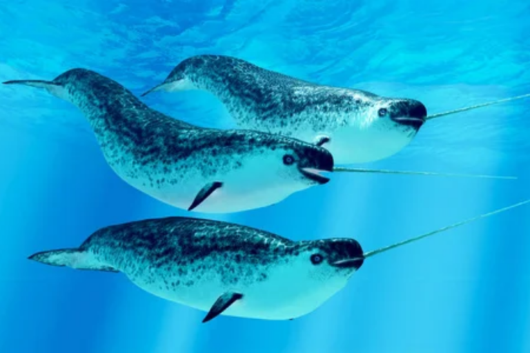 20 of the Most Majestic and Mind-Blowing Creatures on the Planet and ...