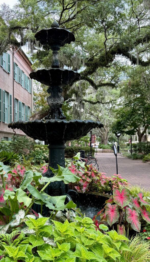 family weekend in charleston, Sc: college visit, shopping, and delicious food 5 College Visit College of Charleston, Fountain on Campus