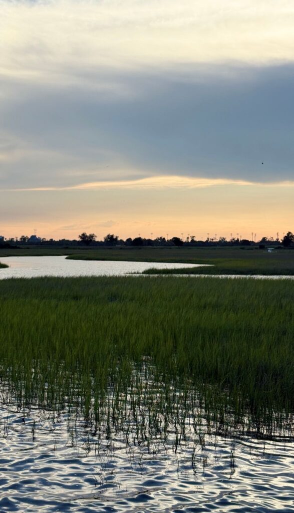 family weekend in charleston, Sc: college visit, shopping, and delicious food 10 Shem Creek Sunset